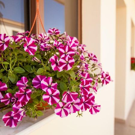 Dafni Villa 19 Paralimni Exterior photo
